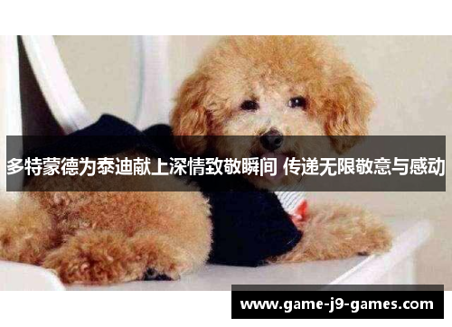 多特蒙德为泰迪献上深情致敬瞬间 传递无限敬意与感动
